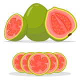 Зрелый guava красного цвета плодоовощ иллюстрация штока Зрелый guava красного цвета плодоовощ иллюстрация штока