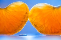 Зрелые сладкие гвоздики tangerine Оранжевый этап 2 на голубой предпосылке стоковые фотографии rf Зрелые сладкие гвоздики tangerine Оранжевый этап 2 на голубой предпосылке стоковые фотографии rf