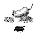 Иллюстрация вектора перца Chili нарисованная рукой Овощ выгравировал объект стиля иллюстрация вектора Иллюстрация вектора перца Chili нарисованная рукой Овощ выгравировал объект стиля иллюстрация вектора