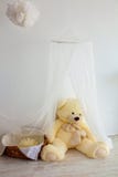 Игрушка Big Bear мягкая изолированная на белой предпосылке стоковые фотографии rf Игрушка Big Bear мягкая изолированная на белой предпосылке стоковые фотографии rf