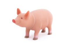 игрушка свиньи стоковые изображения игрушка свиньи стоковые изображения