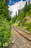 Изгибать железную дорогу через лес стоковая фотография rf Изгибать железную дорогу через лес стоковая фотография rf