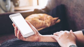 Изображение модель-макета руки ` s женщины держа белый мобильный телефон с пустым экраном и котом спать коричневым i Стоковые Изображения Изображение модель-макета руки ` s женщины держа белый мобильный телефон с пустым экраном и котом спать коричневым i Стоковые Изображения