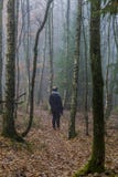 Изображение положения женщины наблюдая дорогу среди высокорослых сосен в лесе стоковые изображения Изображение положения женщины наблюдая дорогу среди высокорослых сосен в лесе стоковые изображения