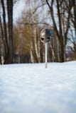 Изображение серебряных шпаги и шлема от игры тронов стоковое изображение Изображение серебряных шпаги и шлема от игры тронов стоковое изображение