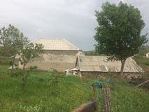 Изогнутые стволы дерева и птицы коричневые в зеленом поле стоковые изображения rf Изогнутые стволы дерева и птицы коричневые в зеленом поле стоковые изображения rf