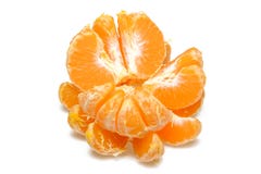 Изолированные этапы цитруса Собрание tangerine, апельсина и других слезли цитрусовыми фруктами, который этапов изолированного на стоковая фотография Изолированные этапы цитруса Собрание tangerine, апельсина и других слезли цитрусовыми фруктами, который этапов изолированного на стоковая фотография