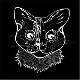 Иллюстрация psychodelic кота Черно-белый чертеж кота Мелок на классн классном иллюстрация штока Иллюстрация psychodelic кота Черно-белый чертеж кота Мелок на классн классном иллюстрация штока