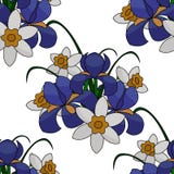 Иллюстрация, букет цветков, голубых радужек и белых и желтых daffodils, с зелеными ветвями, безшовная картина иллюстрация вектора Иллюстрация, букет цветков, голубых радужек и белых и желтых daffodils, с зелеными ветвями, безшовная картина иллюстрация вектора