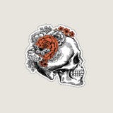 Иллюстрация черепа хеллоуина флористическая винтажная людской скелет иллюстрация вектора Иллюстрация черепа хеллоуина флористическая винтажная людской скелет иллюстрация вектора