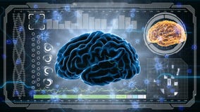 ИМПы ульс мозга Система нейрона Человеческая анатомия Работа мозга перенося ИМПы ульс и производить информацию Предпосылка HUD ИМПы ульс мозга Система нейрона Человеческая анатомия Работа мозга перенося ИМПы ульс и производить информацию Предпосылка HUD