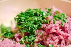 Ингредиент свежих продуктов мяса сырцовый плита стоковые изображения Ингредиент свежих продуктов мяса сырцовый плита стоковые изображения