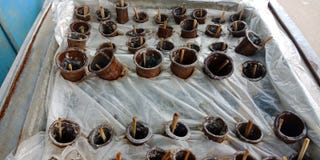Индийское фото запаса замерзая системы мороженого улицы стоковое изображение Индийское фото запаса замерзая системы мороженого улицы стоковое изображение