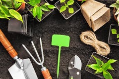 инструменты садовничая заводов стоковое фото инструменты садовничая заводов стоковое фото