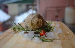 Ископаемая улитка, розмариновое масло, красная ягода и лаванда на моей органической террасе стоковое фото rf Ископаемая улитка, розмариновое масло, красная ягода и лаванда на моей органической террасе стоковое фото rf