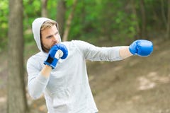 Искусство Sharpen защищая Сконцентрированные спортсменом тренируя перчатки бокса Сконцентрированная спортсменом практика перчаток стоковая фотография rf Искусство Sharpen защищая Сконцентрированные спортсменом тренируя перчатки бокса Сконцентрированная спортсменом практика перчаток стоковая фотография rf