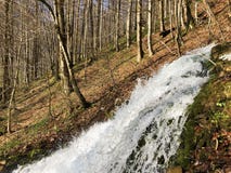 Источник Tschuder с водопадом и весной karst или Karstquelle Tschuder водоснабжения пропуская, Schwende стоковое изображение rf Источник Tschuder с водопадом и весной karst или Karstquelle Tschuder водоснабжения пропуская, Schwende стоковое изображение rf