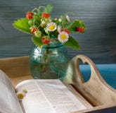 Клубника около книги на подносе стоковая фотография Клубника около книги на подносе стоковая фотография