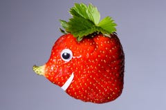 Клубника с естественным, который выросли носом любит сторона Стоковая Фотография Клубника с естественным, который выросли носом любит сторона Стоковая Фотография