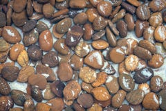 каменная предпосылка картины камни лежа в воде стоковое изображение каменная предпосылка картины камни лежа в воде стоковое изображение