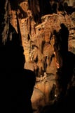 Каменное образование в пещерах Postojna, словенское Postojnska jama стоковое фото Каменное образование в пещерах Postojna, словенское Postojnska jama стоковое фото