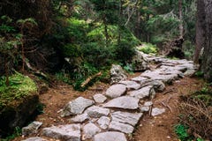 Каменный trekking путь в dolina Studena, горах Tatra, Словакии Стоковые Изображения RF Каменный trekking путь в dolina Studena, горах Tatra, Словакии Стоковые Изображения RF