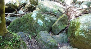 Камни в лесе стоковое изображение Камни в лесе стоковое изображение