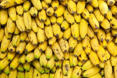 Канереечные бананы в куче на рынке Желтая предпосылка текстуры Стоковые Фото Канереечные бананы в куче на рынке Желтая предпосылка текстуры Стоковые Фото