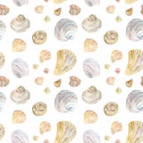 Картина seashell цвета акварели естественная иллюстрация вектора Картина seashell цвета акварели естественная иллюстрация вектора