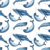 Картина акварели безшовная с китами, медузами, кашалотом, narwhal бесплатная иллюстрация Картина акварели безшовная с китами, медузами, кашалотом, narwhal бесплатная иллюстрация