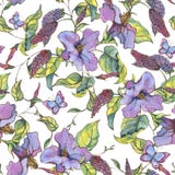 Картина акварели безшовная с пурпурными wildflowers, скручиваемостями и b иллюстрация вектора Картина акварели безшовная с пурпурными wildflowers, скручиваемостями и b иллюстрация вектора