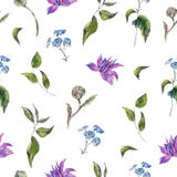 Картина акварели винтажная флористическая безшовная с Wildflowers иллюстрация вектора Картина акварели винтажная флористическая безшовная с Wildflowers иллюстрация вектора