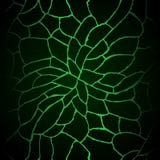 Картина столбца doodle руки вычерченной зеленой токсической покрашенная сетью графическая иллюстрация штока Картина столбца doodle руки вычерченной зеленой токсической покрашенная сетью графическая иллюстрация штока