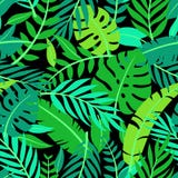 Картина тропических листьев вектора красочных безшовная иллюстрация вектора Картина тропических листьев вектора красочных безшовная иллюстрация вектора