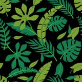 Картина тропических листьев вектора красочных безшовная Дизайн лета иллюстрация вектора Картина тропических листьев вектора красочных безшовная Дизайн лета иллюстрация вектора