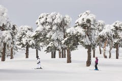 Кататься на лыжах на наклоне леса Белый ландшафт горы Зима Стоковое Фото Кататься на лыжах на наклоне леса Белый ландшафт горы Зима Стоковое Фото