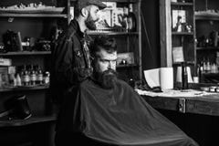 Клиент битника получая стрижку Клиент с бородой готовой для уравновешивать или холить Человек при борода покрытая с черной накидк стоковое изображение rf Клиент битника получая стрижку Клиент с бородой готовой для уравновешивать или холить Человек при борода покрытая с черной накидк стоковое изображение rf