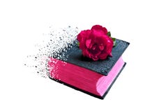 Книга библии влияния спада для микро-запаса стоковые изображения rf Книга библии влияния спада для микро-запаса стоковые изображения rf