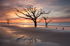 SC Edisto восхода солнца пляжа Чарльстона Boneyard стоковые фото SC Edisto восхода солнца пляжа Чарльстона Boneyard стоковые фото