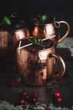 Коктеили осла Москвы гарнированные с клюквами и известкой стоковые фото Коктеили осла Москвы гарнированные с клюквами и известкой стоковые фото