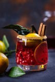 Коктеиль зимы с плодоовощами и циннамоном стоковое изображение Коктеиль зимы с плодоовощами и циннамоном стоковое изображение