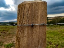 Колючая проволока пригвозженная к загородке, ландшафту с интенсивными цветами вокруг стоковая фотография rf Колючая проволока пригвозженная к загородке, ландшафту с интенсивными цветами вокруг стоковая фотография rf