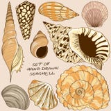 Комплект изолированных значков seashell иллюстрация штока Комплект изолированных значков seashell иллюстрация штока