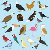 Комплект отечественных птиц и тропических животных хищники griffon, попугай какаду птица-носорог носорога, toco toucan бесплатная иллюстрация Комплект отечественных птиц и тропических животных хищники griffon, попугай какаду птица-носорог носорога, toco toucan бесплатная иллюстрация