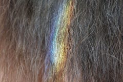Конец-вверх естественных каштановых волос покрашенный радугой стоковые фотографии rf Конец-вверх естественных каштановых волос покрашенный радугой стоковые фотографии rf
