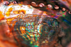 Конец-вверх матери жемчуга Multicolor текстура seashell, multicolor текстура перламутра Покрашенная предпосылка перламутра стоковое фото Конец-вверх матери жемчуга Multicolor текстура seashell, multicolor текстура перламутра Покрашенная предпосылка перламутра стоковое фото