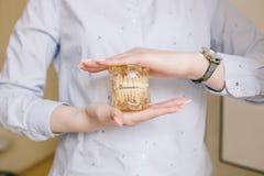 Конец вверх по фото denture зубов модельного в руках доктора Регулярн проверки необходимы к устному здоровью стоковое фото rf Конец вверх по фото denture зубов модельного в руках доктора Регулярн проверки необходимы к устному здоровью стоковое фото rf