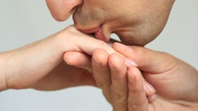 Конец-вверх поцелуя для рук Человек целует руку ` s женщины Изолировано над белой предпосылкой видеоматериал Конец-вверх поцелуя для рук Человек целует руку ` s женщины Изолировано над белой предпосылкой видеоматериал