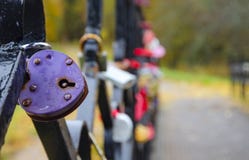 Конец-вверх фиолетового в форме сердц padlock предусматриванного падениями воды в дождливом дне осени стоковые изображения Конец-вверх фиолетового в форме сердц padlock предусматриванного падениями воды в дождливом дне осени стоковые изображения