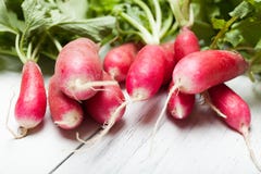 Конец путаницы красной редиски вверх, культивированный и обрабатывающ землю концепция стоковое изображение rf Конец путаницы красной редиски вверх, культивированный и обрабатывающ землю концепция стоковое изображение rf